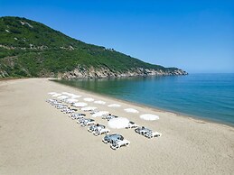 MUKHA ORMANLİ