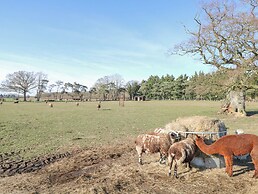 Shorthorn Barn