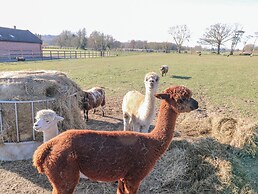 Shorthorn Barn
