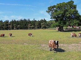 Shorthorn Barn