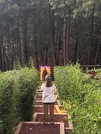 LUNADA GLAMPING