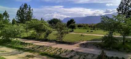 Moholoholo lodge
