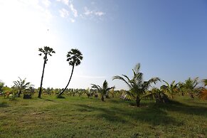 KAY JAY PALMS