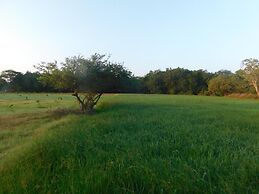 KAY JAY WILD WILPATTU