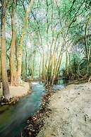 KAY JAY WILD WILPATTU