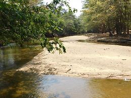 KAY JAY WILD WILPATTU