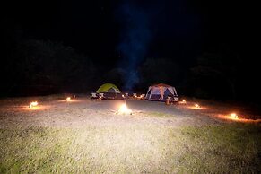 KAY JAY WILD WILPATTU