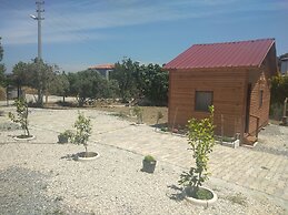 Akarca Bag Evleri