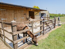 The Dairy