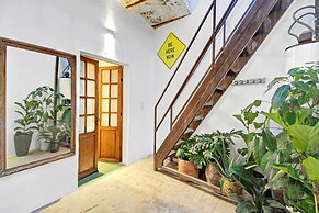 Andador Progreso by Domi Housing