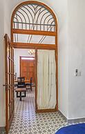 Andador Progreso by Domi Housing