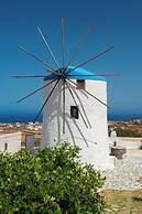 Sifnos Roots