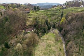 Villa Dolina Miru