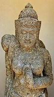 The Zarafa
