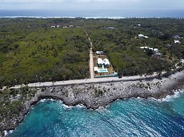 Blue Lizard House