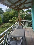 Blue Lizard House