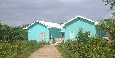 Blue Lizard House