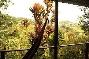 Cabañas Colibrí Tayutic