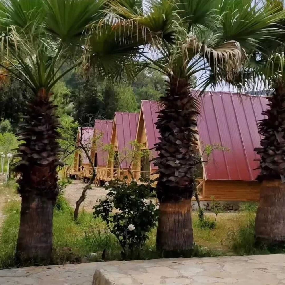 Donkisot Pansiyon