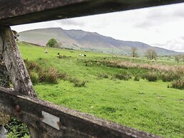 The Paddock