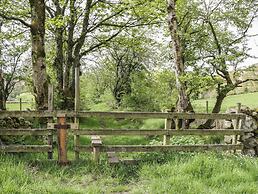 The Paddock