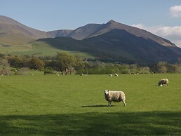 The Paddock