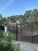 Gorilla Home Stay