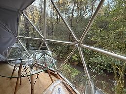 MANDALA CAMP