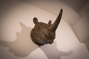 Rhino Studios