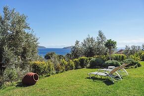 Cape Blue Suites
