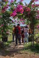The Riverstone Agro Farm