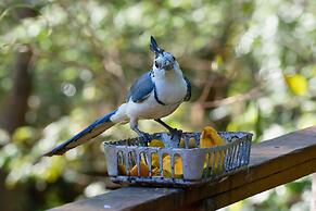Antema Lodge