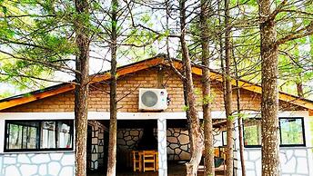 Cabañas Sierra Alta Family Camp