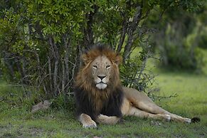 Anantya Serengeti