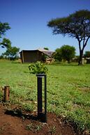 Anantya Serengeti