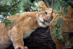 Anantya Serengeti