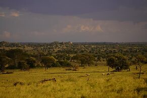 Anantya Serengeti