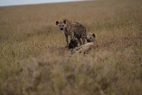 Anantya Serengeti