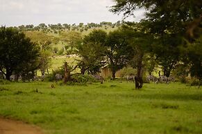 Anantya Serengeti