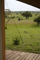 Anantya Serengeti