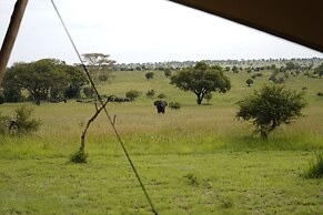 Anantya Serengeti