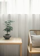 Shuge Art Hotel