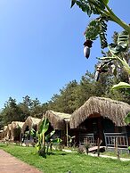 Pine Village Bungalows Ölüdeniz