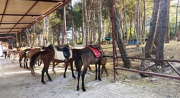 Pine Village Bungalows Ölüdeniz