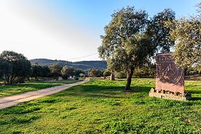 La Dehesa Experiences