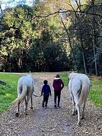 Estancia Grande