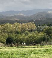 Estancia Grande