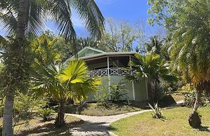 Los Olingos Lodge - Bird Paradise