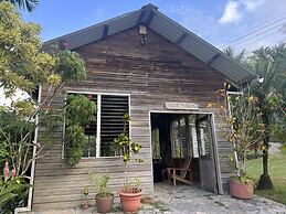 Los Olingos Lodge - Bird Paradise