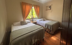 Los Olingos Lodge - Bird Paradise